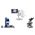 Upright Microscopes